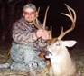 8 point white-tailed buck